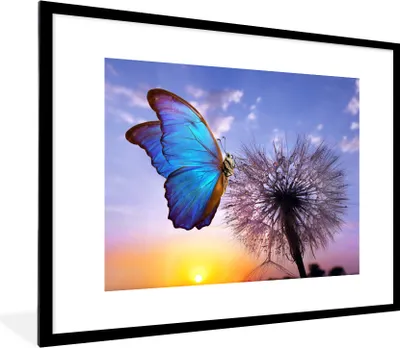 Produktbild von MuchoWow® Gerahmtes Poster Schmetterling - Sonnenuntergang - Löwenzahn - Blau 80x60 cm - Poster mit Schwarzem Bilderrahmen Wandposter Rahmen Foto Bilder - Schlafzimmer-Dekorationen - Fotoposter