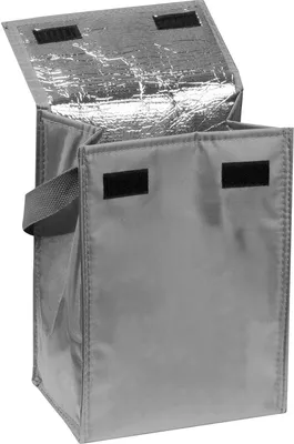 Produktbild von Kühltasche / Farbe: grau