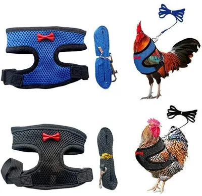 Obrázek produktu pro Obojky pro psy/kuřata - 2 kusy - Nastavitelné - Nylon - Velikost 30-38 cm - Prodyšné - Obojek pro psy a kuřata