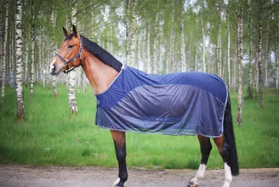 Produktbild von Bucas Show-Line Competition Cooler Abschwitzdecke, Farbe:Navy/Grey, Größe:125