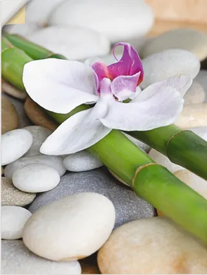 Produktbild von ARTland Wandbild, selbstklebend Zen Orchidee Größe: 45x60 cm