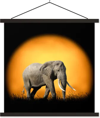 Produktbild von MuchoWow® Textilposter Elefant - Sonne - Zähne 40x40 cm mit schwarzem Rahmen - Fotos