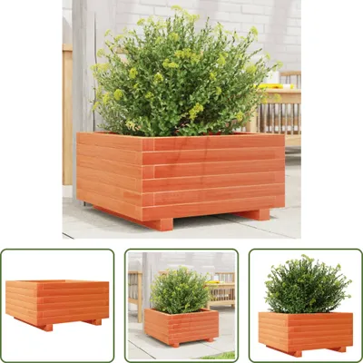 Produktbild von The Living Store Pflanzkübel Wachsbraun 50x50x26,5 cm Massivholz Kiefer