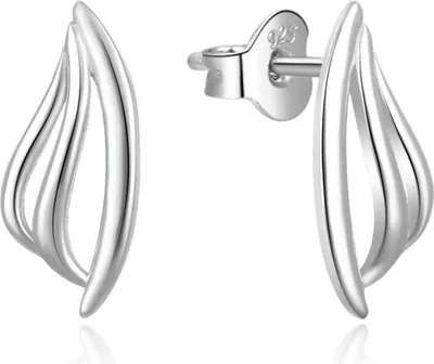 Image de Boucles d'oreilles élégantes en argent E0002441
