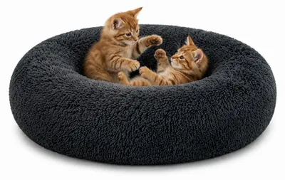Produktbild von lionto Donut Katzenkissen, rundes Bett mit Plüschbezug & Anti-Rutsch-Boden, erhöhter Rand für Geborgenheit, 70 cm Durchmesser, dunkelgrau