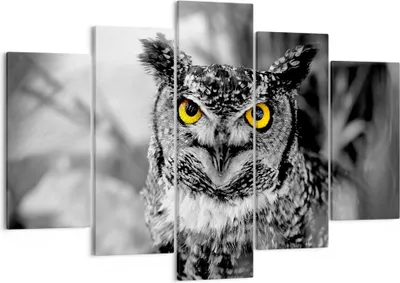 Produktbild von Bild auf Leinwand - Leinwandbild - Eule Vogel Natur - 150x100cm - Wand Bild - Wanddeko - Leinwanddruck - Bilder - Kunstdruck - Wanddekoration - Leinwand bilder - Wandkunst - EA150x100-1318