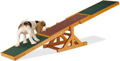 Zdjęcie produktu dla Agility dla psów Seesaw