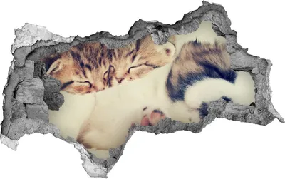 Produktbild von Selbstklebender Loch-3D-Aufkleber 95x73 cm Zwei Katzen und ein Hund