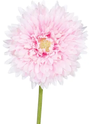 Produktbild von Kunstblume GERBERA 57cm ROSA