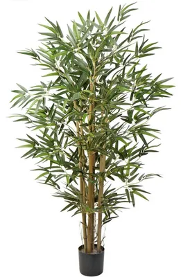 Produktbild von Kunstbambus mit Echtholzstamm im Zementtopf, 121,9 cm Grün