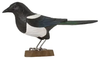 Image de Jardin pour la faune Dekovogel - Pie