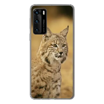 Produktbild von MuchoWow® Handyhülle Schutzhülle Hülle für Huawei P40 Luchs - Braun - Gras Silikon Softcase Handy Hülle - Handytasche