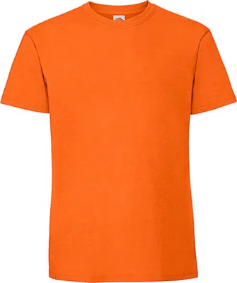 Image de T-shirt Iconic 195 Ringspun Premium