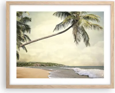 Produktbild von Gerahmtes Poster - Rahmen in heller Eiche - Palme Strand Insel - 50x40 cm - Wand Bild - Wanddeko - Wandbilder - Wandposter - Bilderrahmen - Bilder - Kunstdruck - Wandbild - P2NAA50x40-4154