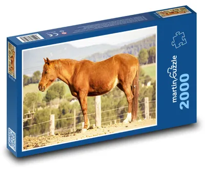 Obrázok produktu pre martinpuzzle - Puzzle 2000 - Kôn