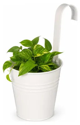 Produktbild von Blumentopf mit Haken – Zink-Pflanzgefas mit Aufhangehaken – weiss – 20 x 13 x 26 cm – zum Aufhangen