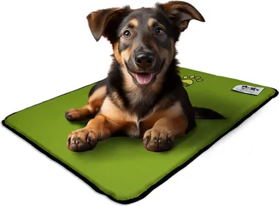 A dog lying on a green pet mat.