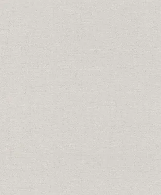 Produktbild von Rasch Andy Wand | 650556 | Vliestapeten Einfarbig | 53cm x 1005cm | Grau