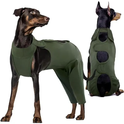 Produktbild von Hundebody Nach Op Erholungsanzug Militärgrün Größe L (Brust: 57-68cm)