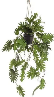 Image de Plante artificielle Philodendron - Plante suspendue 80cm - D'un réalisme