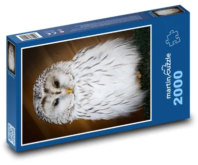 Obrázok produktu pre martinpuzzle – Puzzle 2000 – Snehová sova