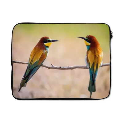 Produktbild von MuchoWow® Laptop Hülle 15 Zoll Vögel - Bienenfresser - Tiere Laptoptasche - Laptoptasche - Sleeve - Rundum-Schutz