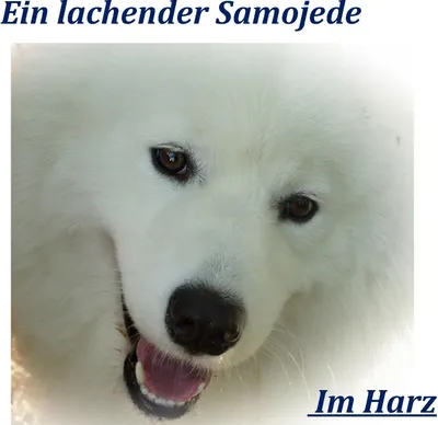 Produktbild von Kalenderbuch 2015