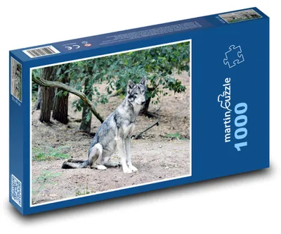 Obrázek produktu pro martinpuzzle - Puzzle 1000 - Vlk - zvíře, les