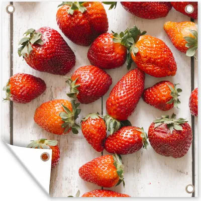 Obrázok produktu pre MuchoWow® Vonkajší plagát - Záhradná dekorácia ochrana súkromia - Záhradné plagáty pre záhradu - Jahoda - Ovocie - stôl - 200x200x0.2cm