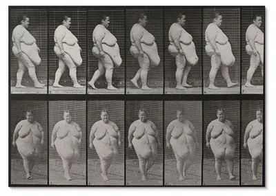 Produktbild von POSTER - 84x59 cm (A1) - Eadweard Muybridge - Übergewichtige Frau beim Gehen. Fototyp nach Eadweard Muybridge, 1887 - Wandbild für Wohnzimmer Schlafzimmer & Flur, Modernes Poster Wanddeko, Ungerahmt