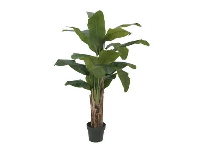 Image de EUROPALMS Bananier, plante artificielle, 120cm
