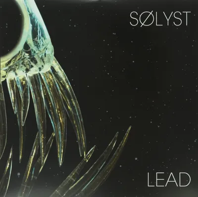 Produktbild von Solyst-Lead