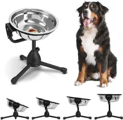 Image de Gamelle surélevée pour chien, en acier inoxydable, réglable, antidérapante, taille moyenne