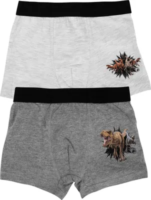 Produktbild von Jurassic World Boxershorts für Jungen - Unterwäsche Unterhose Boxer Grau (2er Pack), Größe:110-116