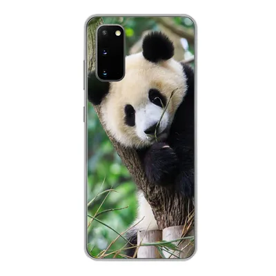 Produktbild von MuchoWow® Handyhülle Schutzhülle Hülle für Samsung Galaxy S20 Panda - Tiere - Dschungel - Natur Silikon Softcase Handy Hülle - Bild