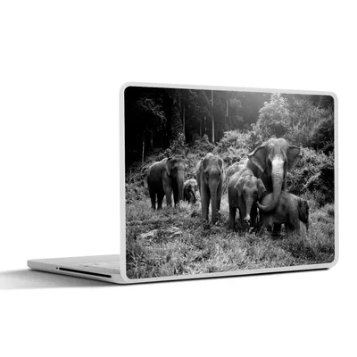 Produktbild von MuchoWow® Laptop Aufkleber Sticker Cover Elefanten aus dem Wald - schwarz und weiß 32.5x23.5 cm - Sticker für Laptop - Selbstklebend