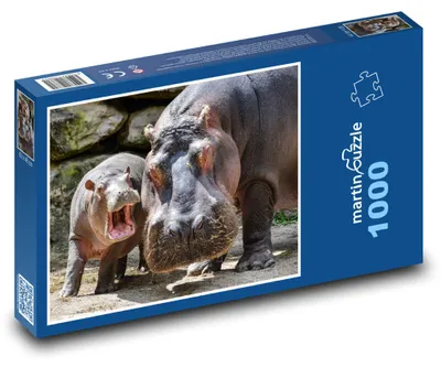 Obrázok produktu pre Puzzle 1000 Hroch a jeho mláďa - martinpuzzle