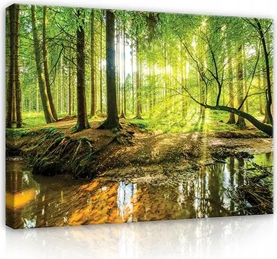 Produktbild von Leinwandbilder Wald Natur Landschaft 120x80 cm XXL Modern Canvas Bilder Leinwandbilder Schlafzimmer Wohnzimmer Wandbilder Kunstdruck Wand Bild auf Leinwand Aufhängefertig