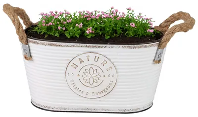 Produktbild von Sunnydays Teil/Pflanztopf - Zink - elfenbeinweis - 24 x T14 x 12 cm