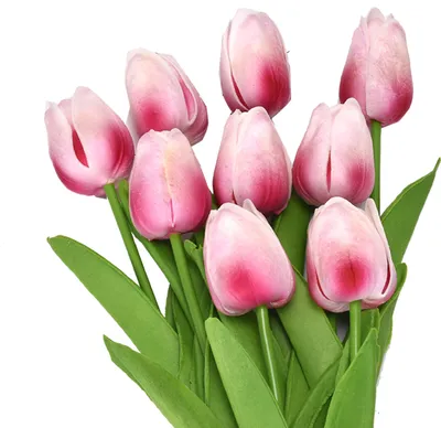 Produktbild von 5pcs künstliche Tulips lebensee realistische Plastik -Kunstseidenssimulation für Home-Rosenrot