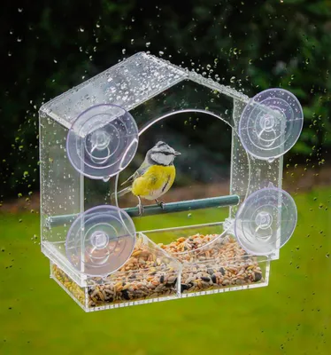 Produktbild von Transparente Fensterfütterstation für Vögel - Futterplatz - 1 Stück - 20 x 18 cm