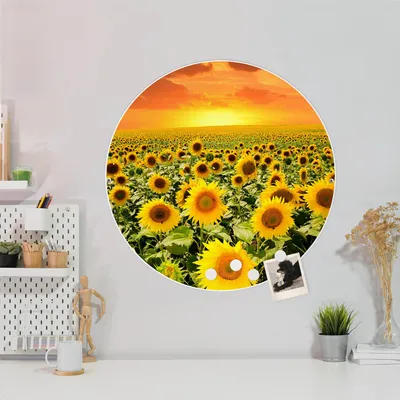 Produktbild von Design Stahlmagnettafel Weiß Rund 47cm Sonnenblumenmeer