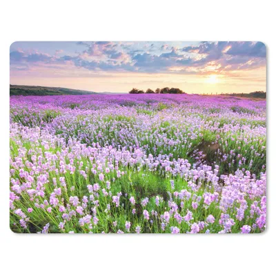 Produktbild von MuchoWow® Mauspad Mousepad Blumen - Lavendel - Lila - Himmel - Sonnenuntergang - Wiese - Natur 23x19 cm - Mousepads - Maus Mat - Pad - Mausunterlage - Schreibtischunterlage - Mauspad