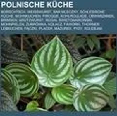 Produktbild von Polnische Küche