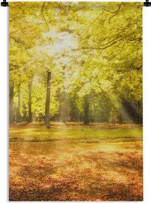 Produktbild von MuchoWow® Wandteppich Wandbehang Baum - Natur - Sonne - Landschaft - Wald 60x90 cm Tapisserie Dekoration Wandtuch - Foto-Teppich - Abwaschbar