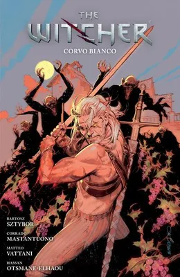 Image de Witcher Volume 9