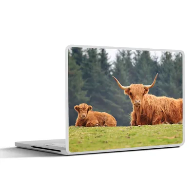 Produktbild von MuchoWow® Laptop Aufkleber Sticker Cover Schottische Highlander - Gras - Wald 36.5x27.5 cm - Laptop-Sticker