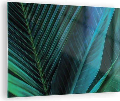 Produktbild von Bilder auf glas - Einteilig - Blatt Tropen Grün - 70x50cm - Glasbilder - Wandbilder - Bilder - zum Aufhängen bereit - Wanddekoration aus Glas - Glas Bilder - Wandbild auf Glas - GAA70x50-5071