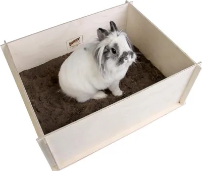 Immagine prodotto di Bunny Nature Diggingbox Scatola per scavare