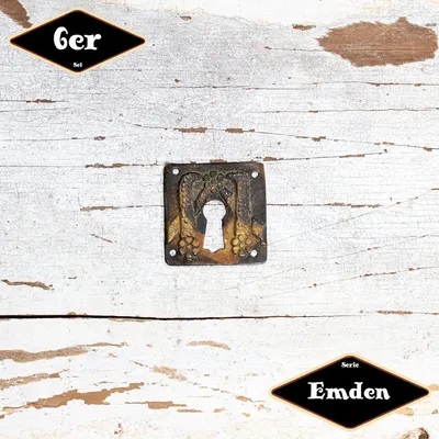Produktbild von Schlüsselplatte,Serie"Emden",6er Pack|Eisen in Messing Pat.|H3,3xB3,3cm
